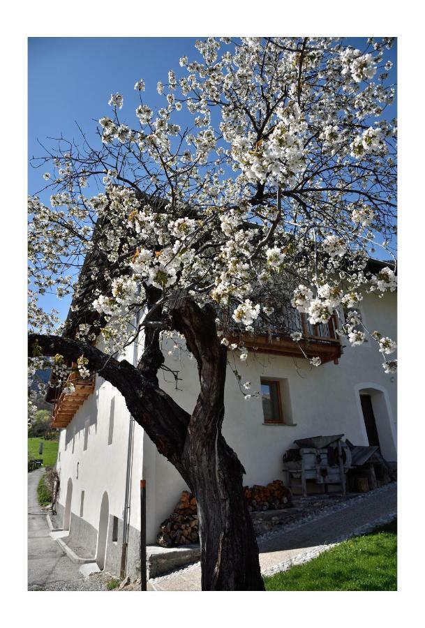 La Maison Abeil Frühstückspension