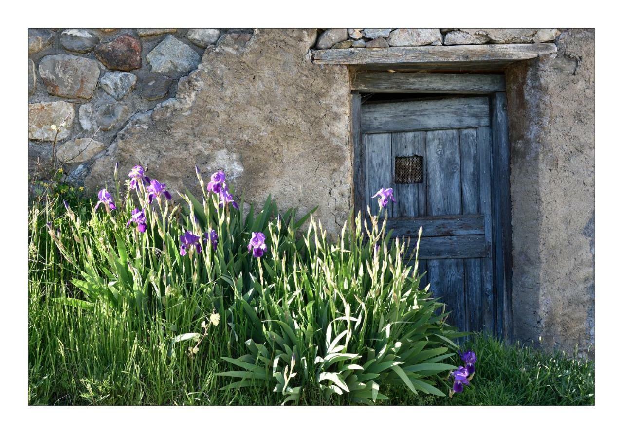 La Maison Abeil